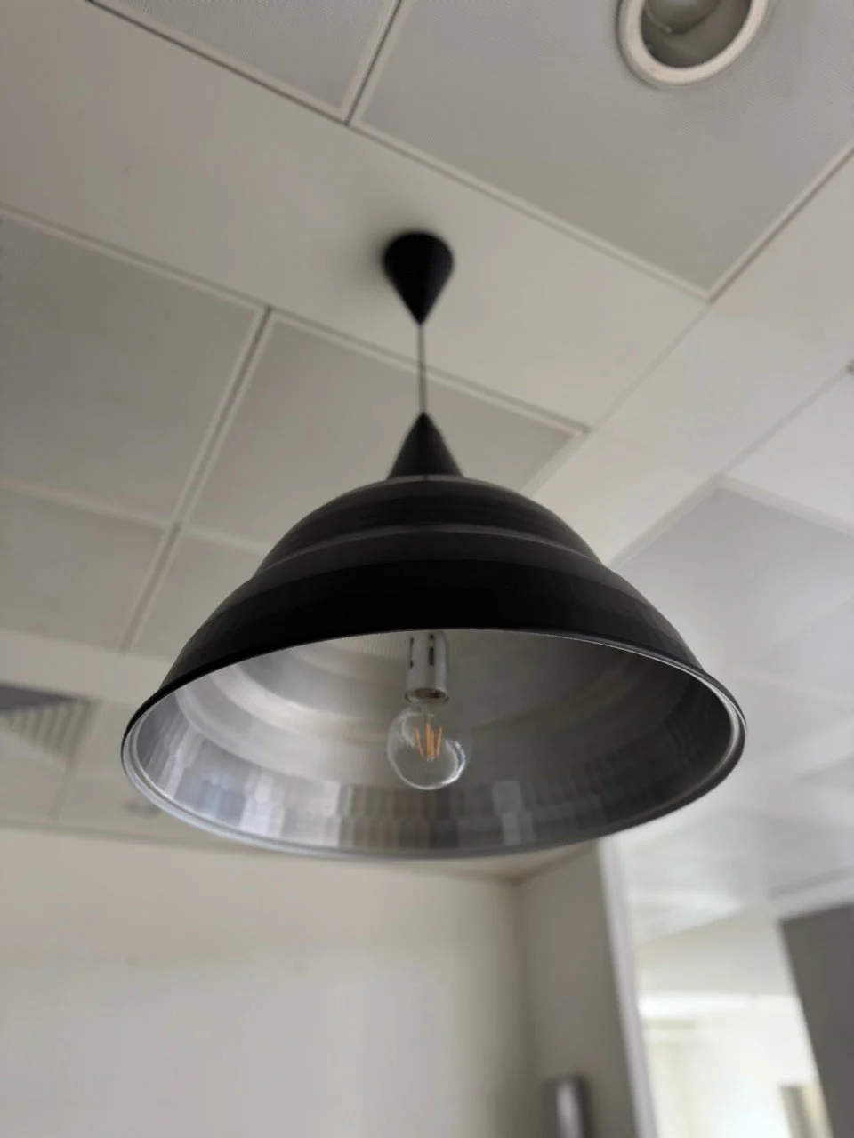 SB Design Square Habitat Photographic Ceiling Lamp (2) - Image 2